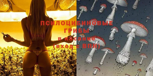 ECSTASY Армянск